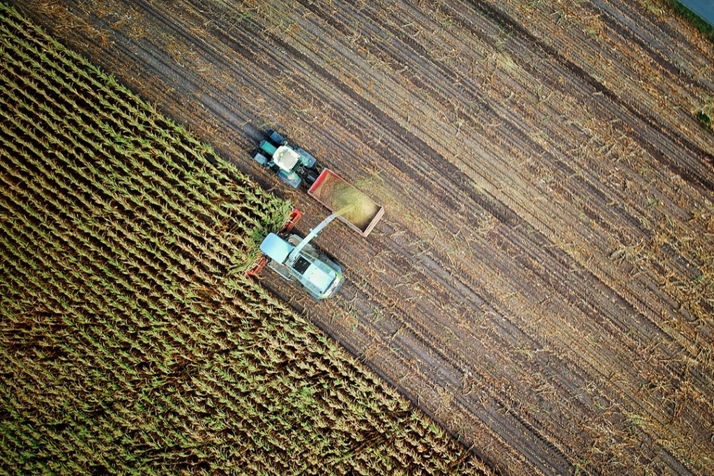 field being harvested for storage and transportation