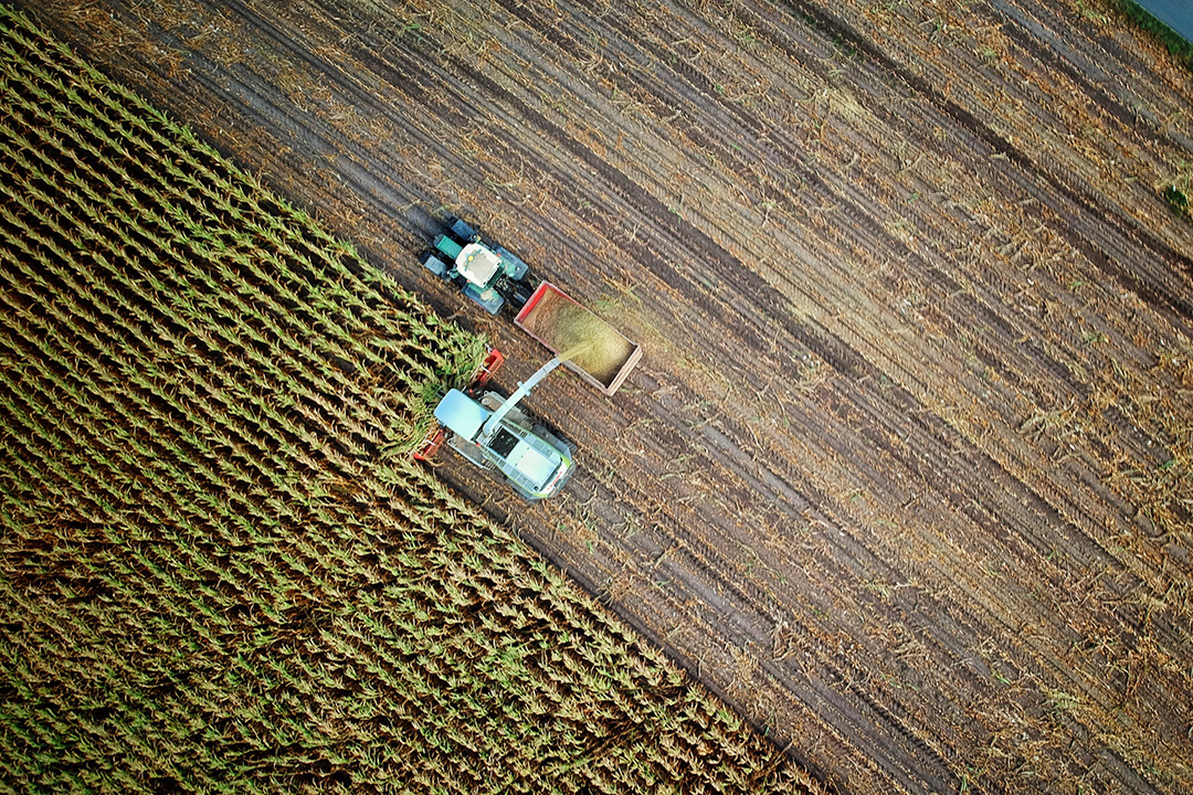 CBB supports farm-to-market logistics in Africa