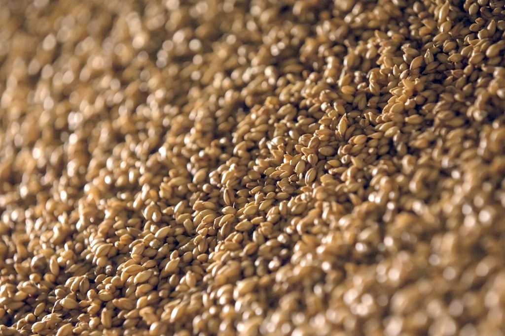 Tips for long-term grain storage