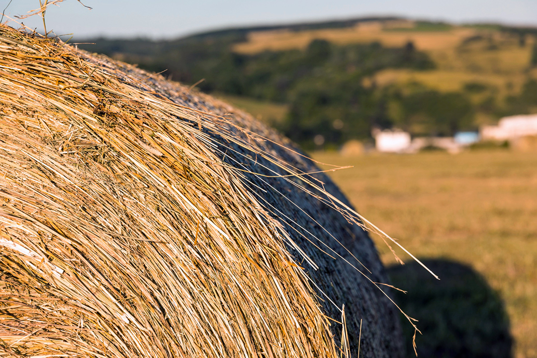 How to keep hay dry with bulk bags