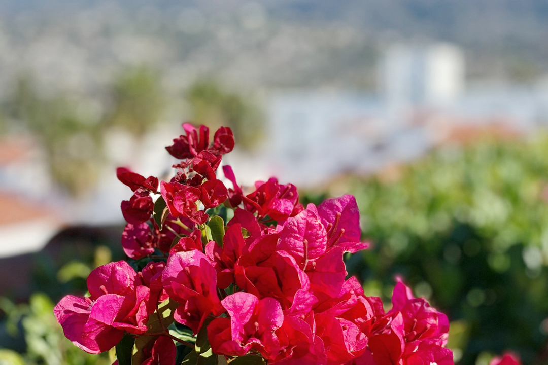 Spring is here! Why you need ventilated bulk bags at this time of year