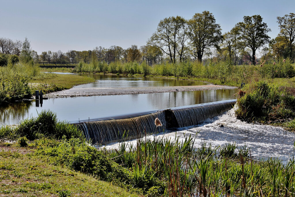 A small dam on a farm.
