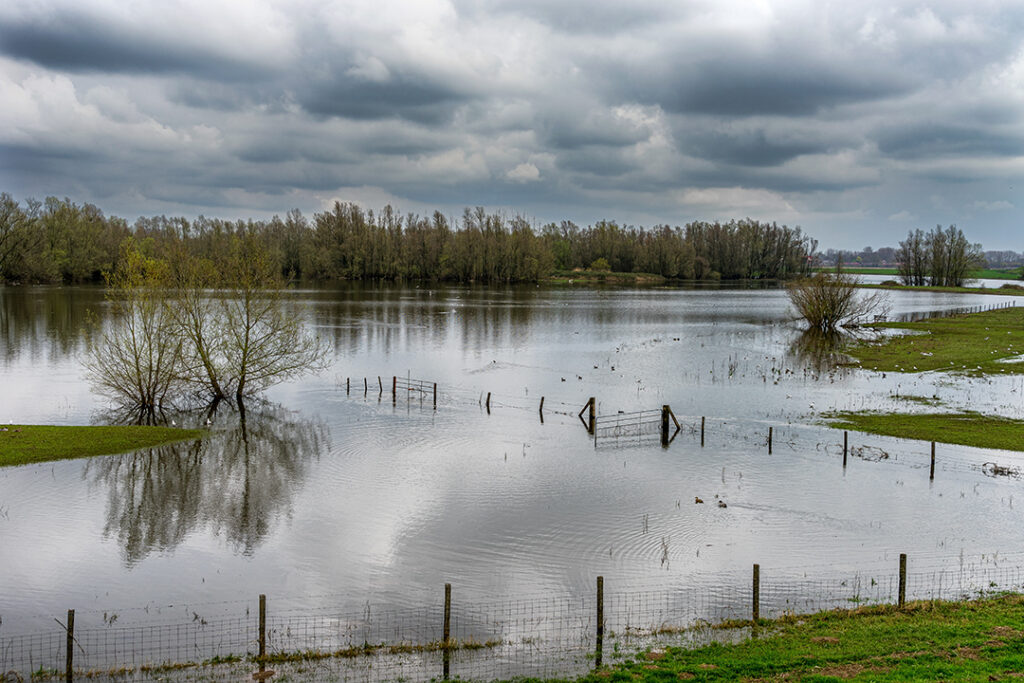 The Waal River after a flood.
