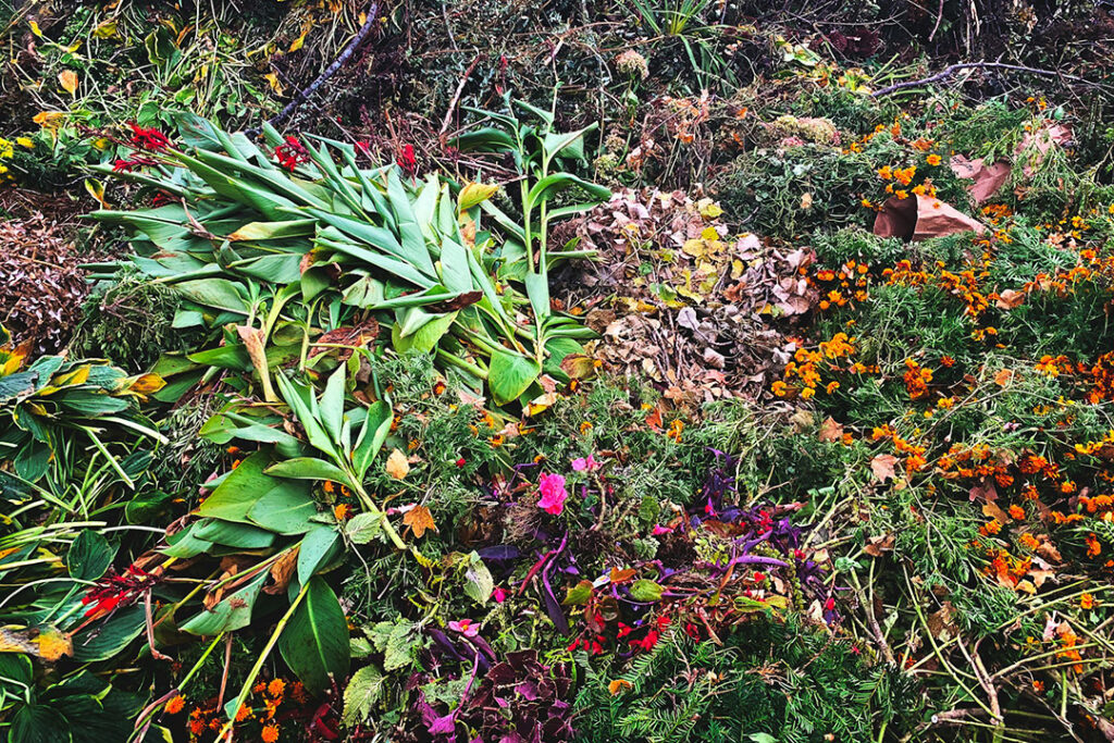 A large pile of garden waste