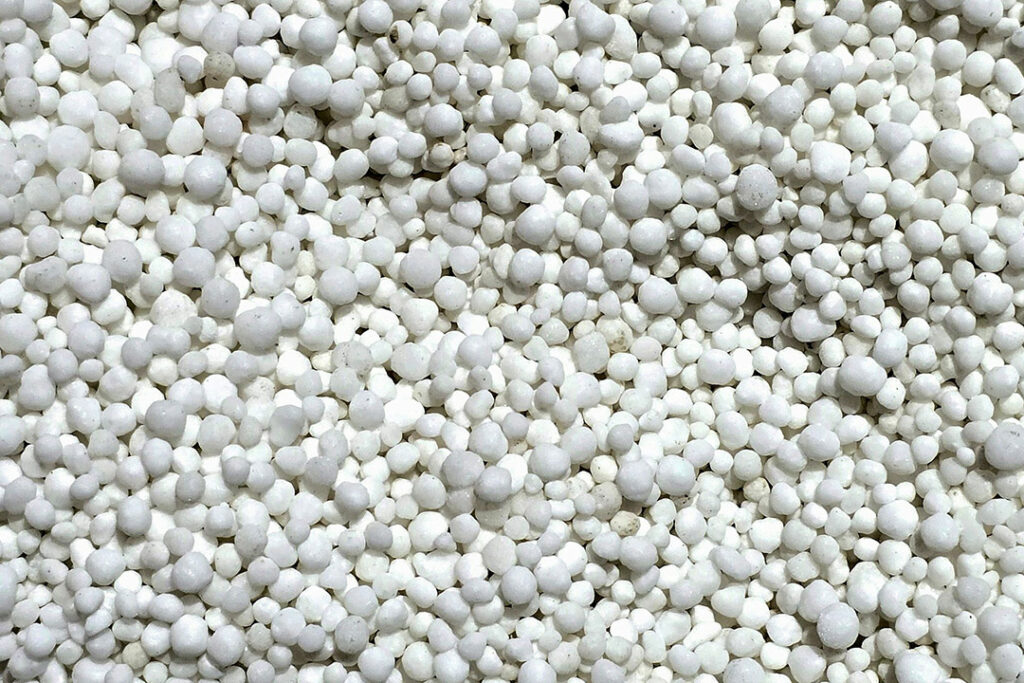 Round white granules of fertiliser.