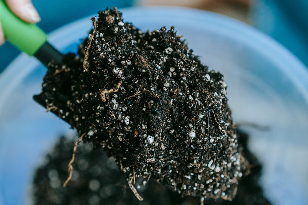 White granules of fertiliser interspersed with black potting soil