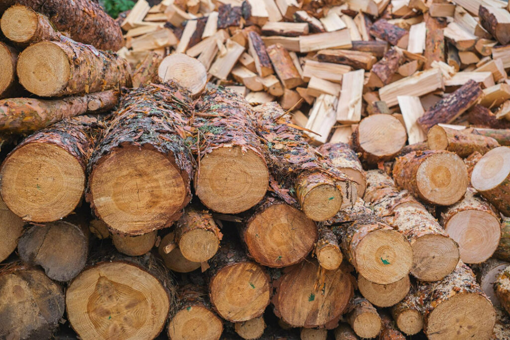Pine logs stacked in a neat pile