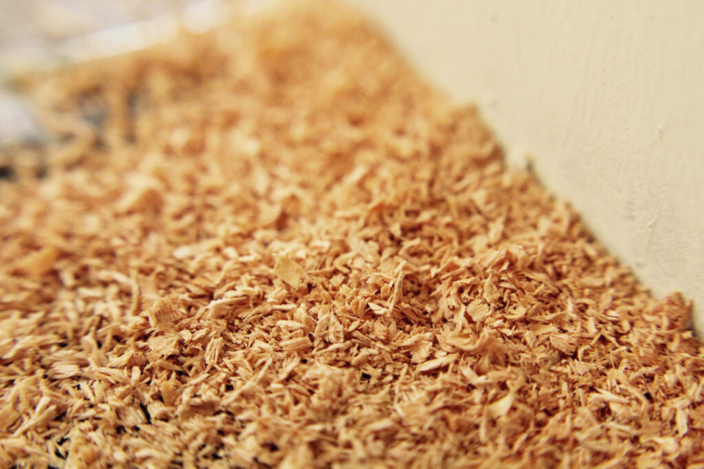 Soft wood shavings are used to create a hygienic bedding material for chickens.