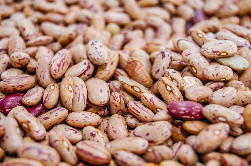 A close-up photo of speckled sugar beans.
