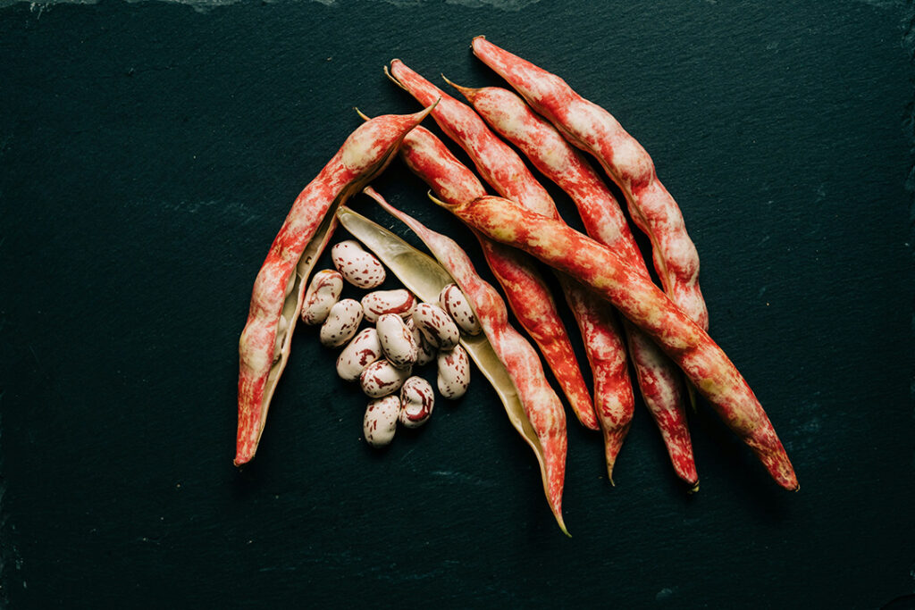 Sugar beans and their red pods